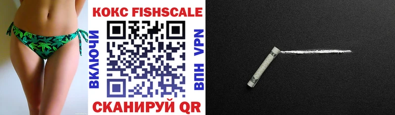 КОКАИН Fish Scale  купить наркотики сайты  гидра зеркало  Дедовск 