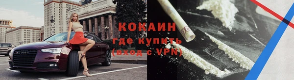 ешки Горняк