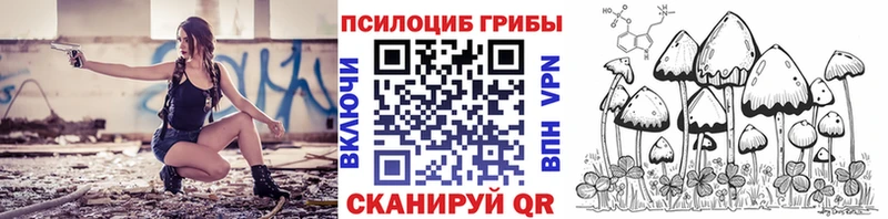 Псилоцибиновые грибы прущие грибы  как найти закладки  кракен онион  Дедовск 
